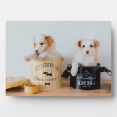 Puppies Art Deco Plaque Fotoplatte (Vorderseite)