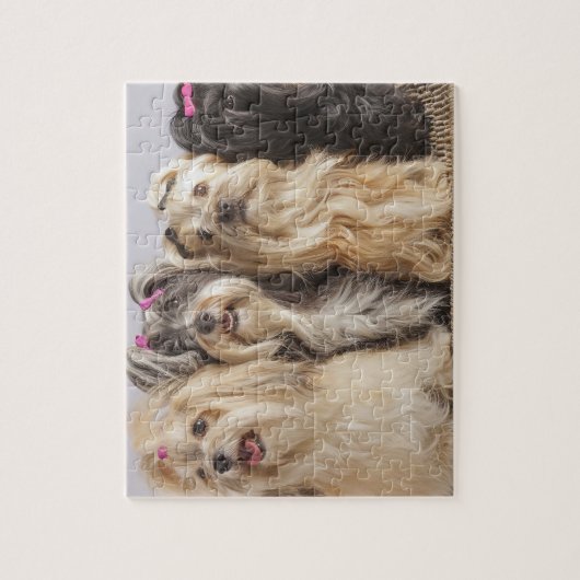 Puppies Game Puzzle (Vertikal)