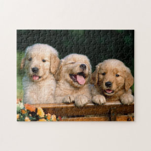 Puppies Game Puzzle
