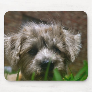 Pupppy Mausunterlage Mousepad