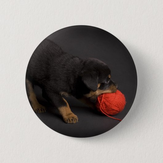 Puppy 1 button (Vorderseite)