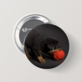 Puppy 1 button (Vorne & Hinten)