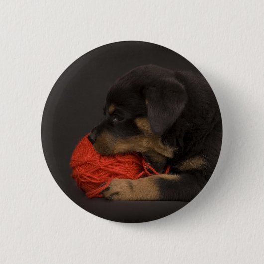 Puppy 2 button (Vorderseite)