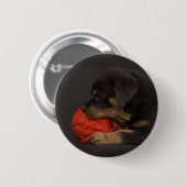 Puppy 2 button (Vorne & Hinten)