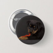 Puppy 5 button (Vorne & Hinten)