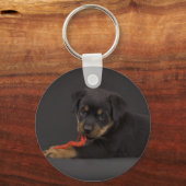 Puppy 5 schlüsselanhänger (Vorderseite)