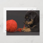 Puppy 6 postkarte (Vorne/Hinten)