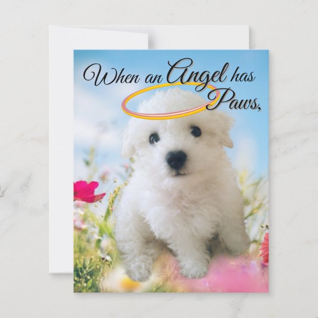 Puppy Angel  (Vorderseite)