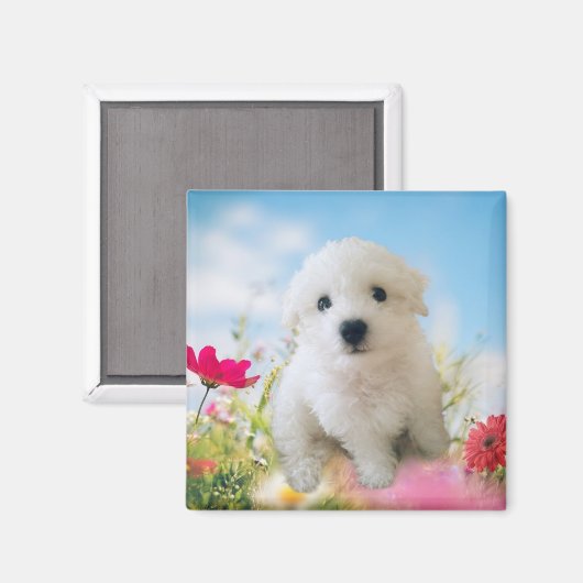 Puppy Angel Magnet (Vorderseite/Rückseite)