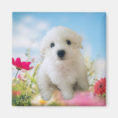 Puppy Angel Magnet (Vorne)