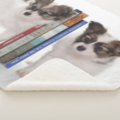 PUPPY BOOKENS SHERPADECKE (3/4)