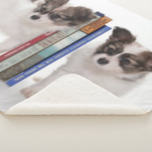 PUPPY BOOKENS SHERPADECKE (3/4)