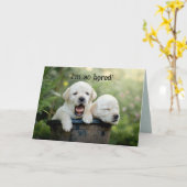 PUPPY BOREDOM DENKEN SIE KARTE (Gelbe Blume)