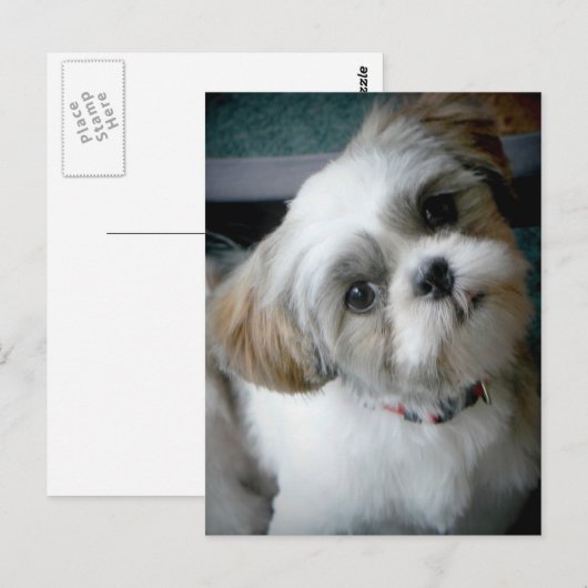 Puppy Buddie Postkarte (Vorne/Hinten)