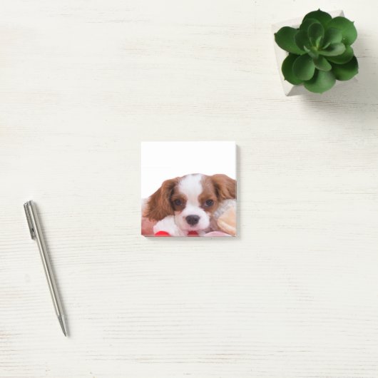 Puppy Cavalier King Charles Spaniel Post It Notes Post-it Klebezettel (Büro)