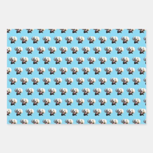 Puppy Dog Benutzerdefiniertes Foto Muster Geschenkpapier Set (Vorderseite 2)