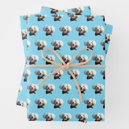 Puppy Dog Benutzerdefiniertes Foto Muster Geschenkpapier Set (Beispiel)