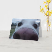 Puppy Dog Face Karte (Gelbe Blume)