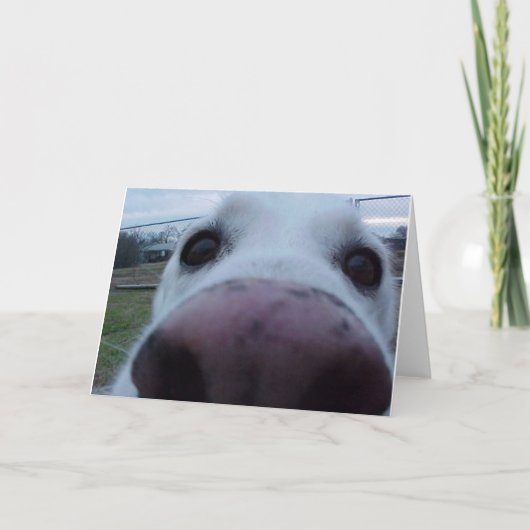 Puppy Dog Face Karte (Vorderseite)