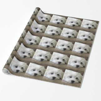 Puppy Eyes Geschenkpapier