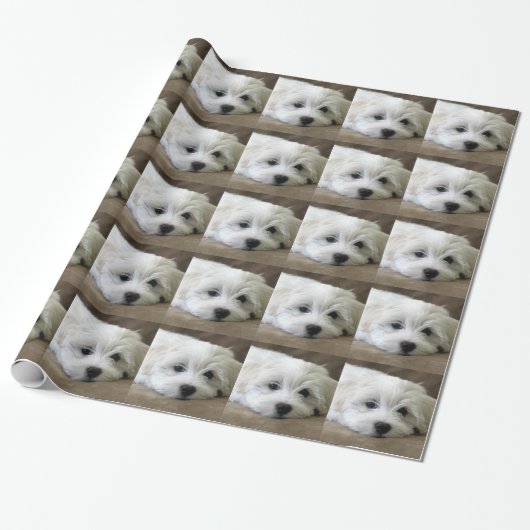 Puppy Eyes Geschenkpapier (Ungerollt)