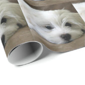Puppy Eyes Geschenkpapier (Rolleneckpunkt)