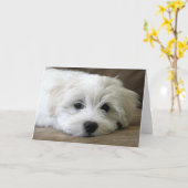 Puppy Eyes Karte (Gelbe Blume)