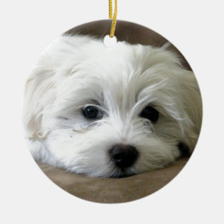 Puppy Eyes Keramikornament