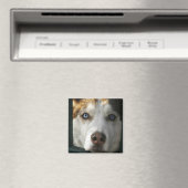 Puppy Eyes Magnet (In Situ (Geschirrspüler))