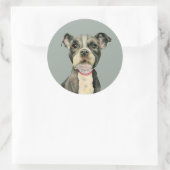 Puppy Eyes | Niedlicher Grubenbull Terrier Dog Runder Aufkleber (Tasche)