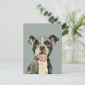 "Puppy Eyes" Pit Bull Dog Aquarellmalerei Postkarte (Stehend Vorderseite)