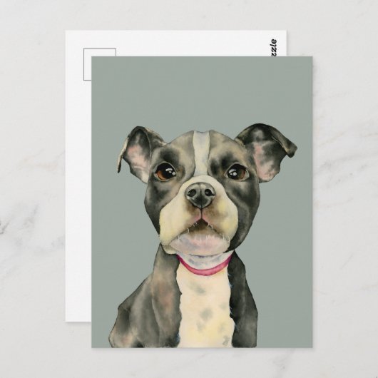 "Puppy Eyes" Pit Bull Dog Aquarellmalerei Postkarte (Vorne/Hinten)