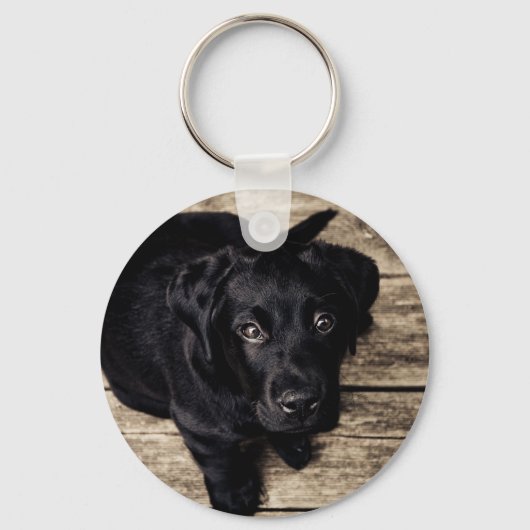 Puppy Eyes Schlüsselanhänger (Vorderseite)