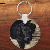Puppy Eyes Schlüsselanhänger (Vorderseite)