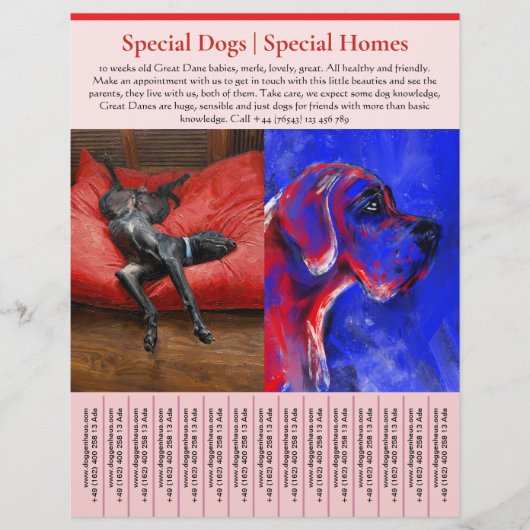 puppy for sale flyer templates (Vorne)