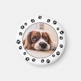 Puppy Foto Black Paw Print Magnet