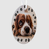 Puppy Foto Pawprints Ornament (Vorderseite)