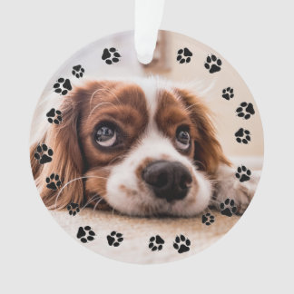 Puppy Foto Pawprints Ornament