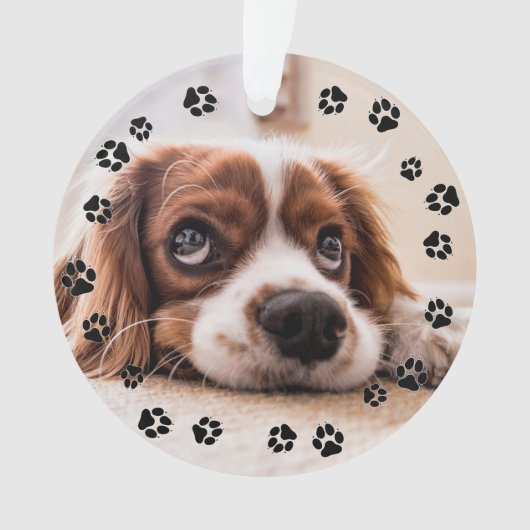 Puppy Foto Pawprints Ornament (Vorderseite)