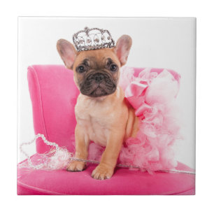 Puppy french bulldog disguised fliese