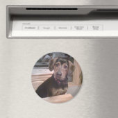 Puppy Gaze Magnet (In Situ (Geschirrspüler))
