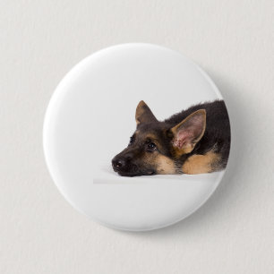 puppy german sheperd button