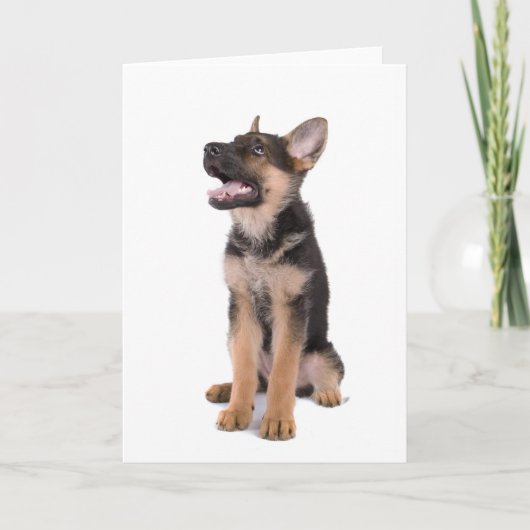 Puppy German shepherd Karte (Vorderseite)