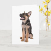 Puppy German shepherd Karte (Gelbe Blume)