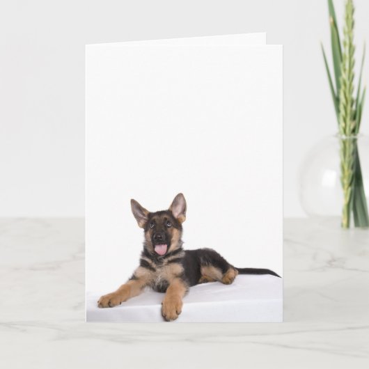 Puppy German shepherd Karte (Vorderseite)