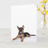 Puppy German shepherd Karte (Gelbe Blume)