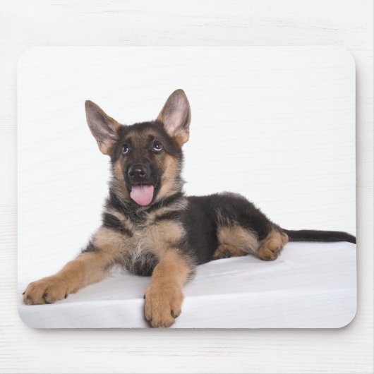 Puppy German Shepherd Mousepad (Vorne)