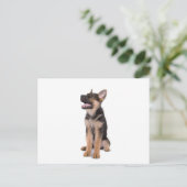 Puppy German shepherd Postkarte (Stehend Vorderseite)