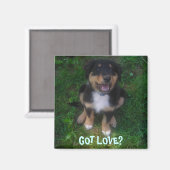 PUPPY, GOT LIEBE? MAGNET (Vorderseite/Rückseite)
