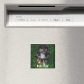 PUPPY, GOT LIEBE? MAGNET (In Situ (Geschirrspüler))